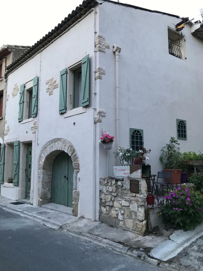 Chambre d'Hôtes Le Laurier Blanc Portel-des-Corbieres Exterior foto